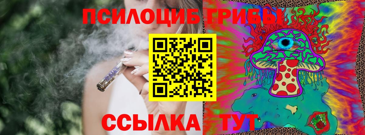 Псилоцибиновые грибы прущие грибы Сокол