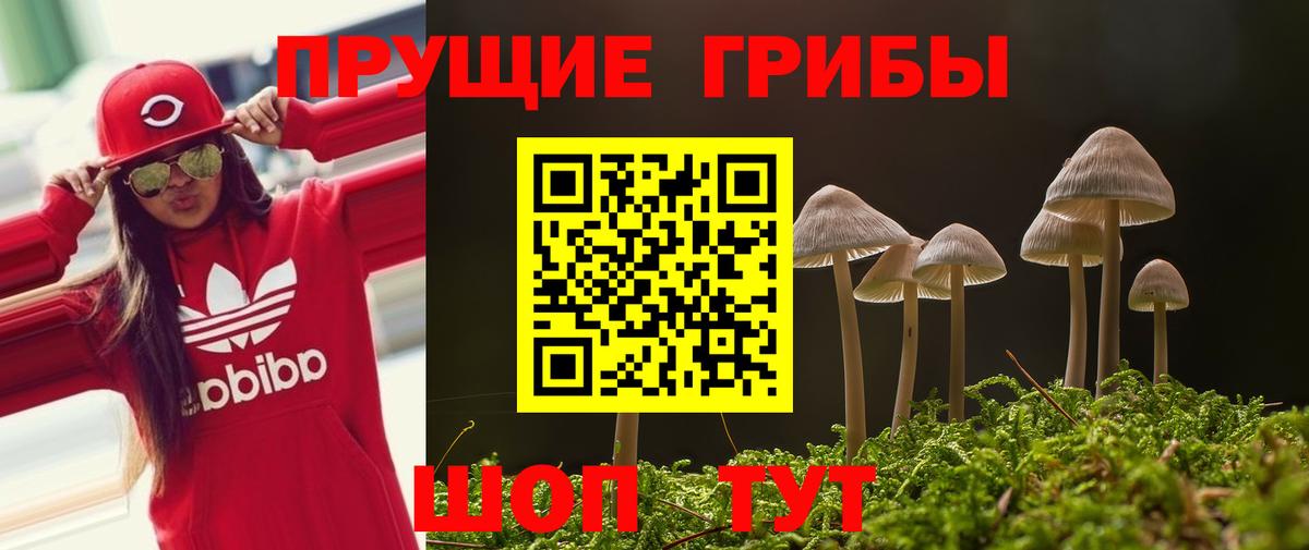 Псилоцибиновые грибы ЛСД  Вход с VPN  купить   Сокол 